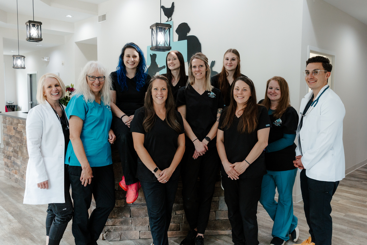 Staff group in lobby